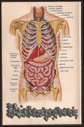 Brainspewer : Putrefaction Interaction Brainspewer : Putrefaction Interaction